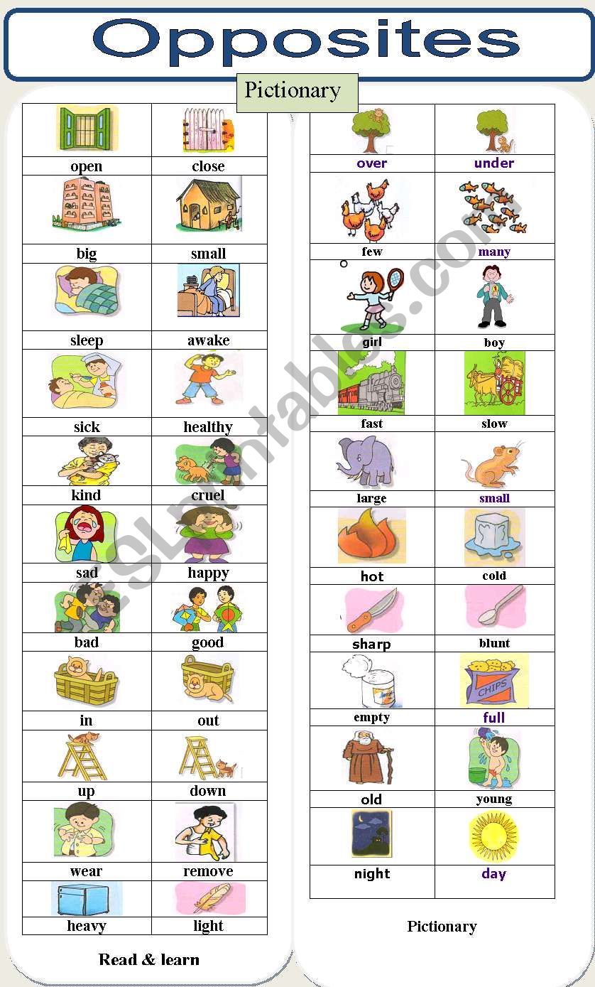 Opposites ( Pictionary) worksheet