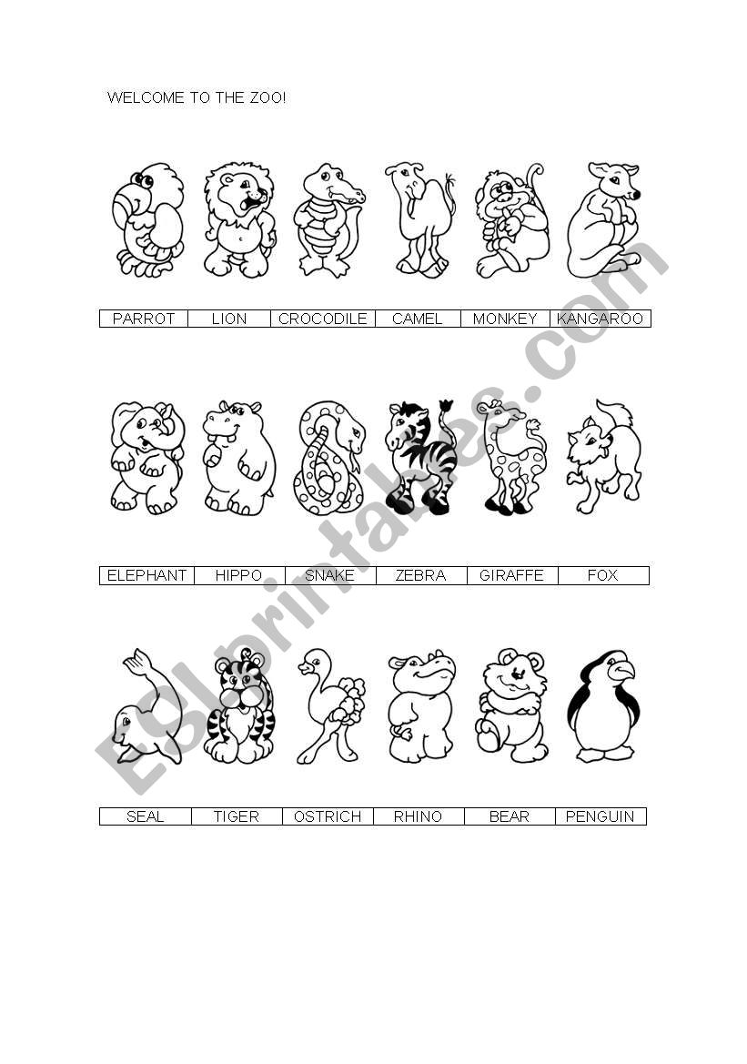 zoo animals worksheet