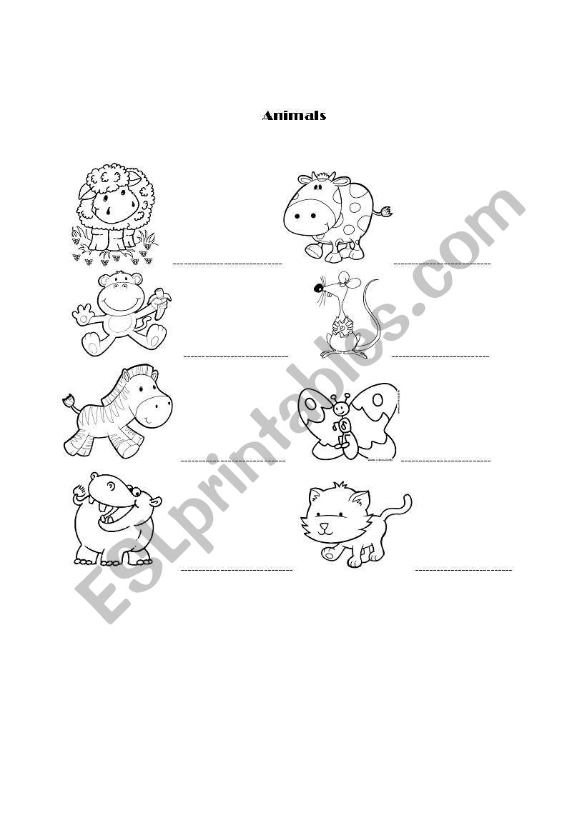 animals worksheet