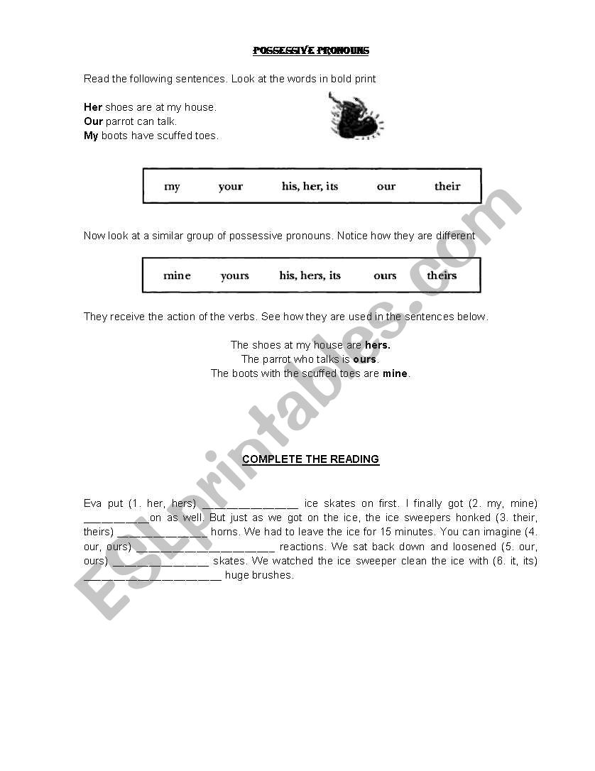 POSSESSIVE PRONOUNS worksheet