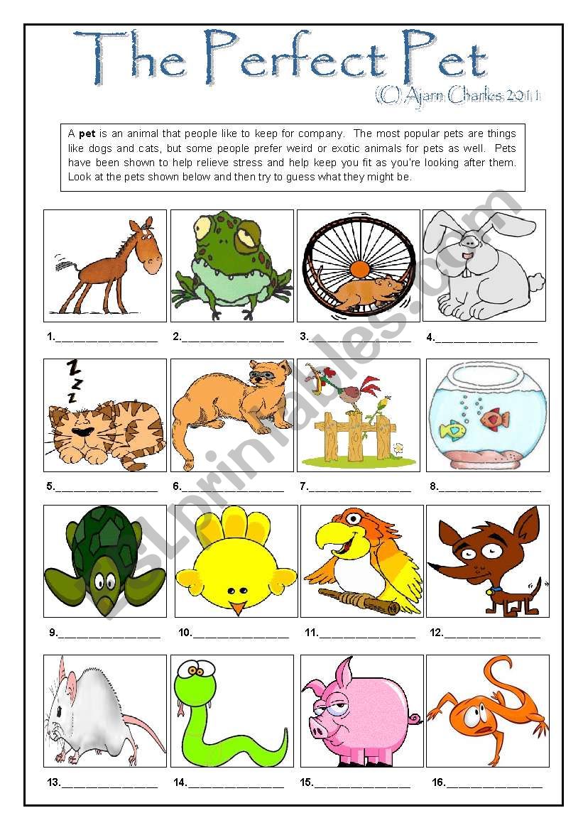 The Perfect Pet worksheet