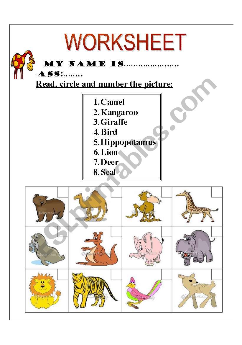 zoo animals worksheet