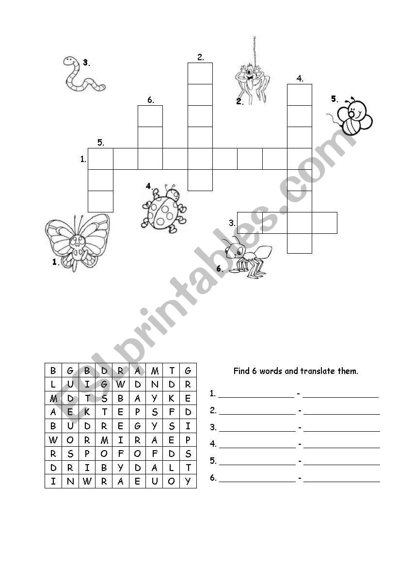 Bugs - vocabulary exercises worksheet