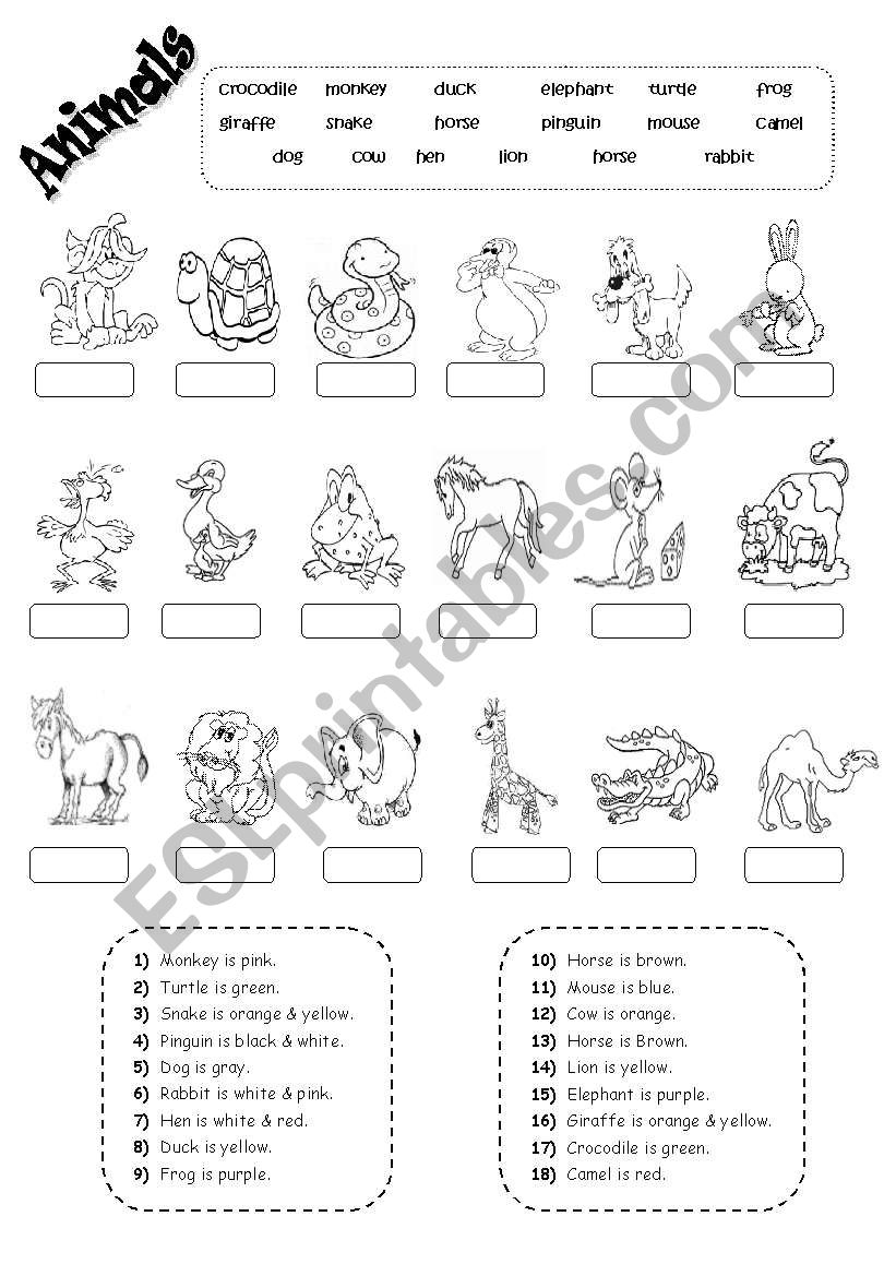 animals worksheet