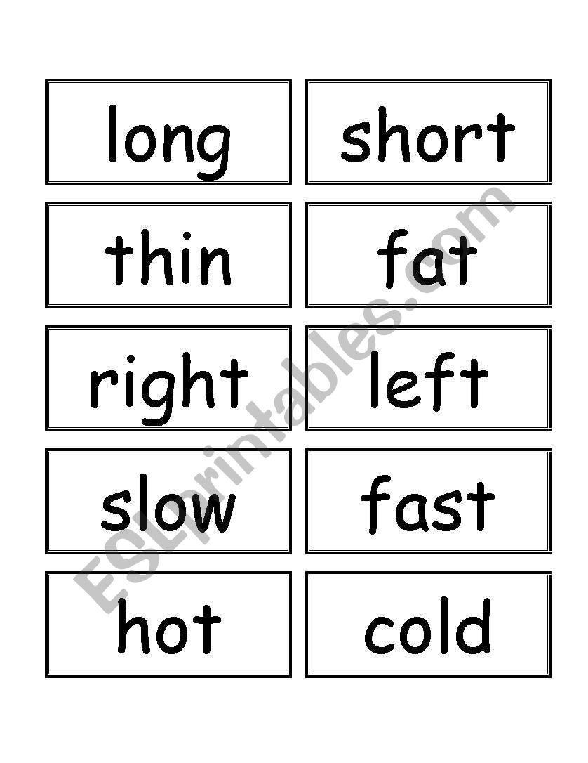 opposites worksheet