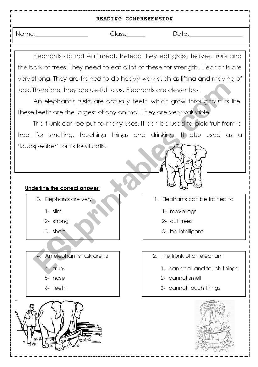 Reading worksheet