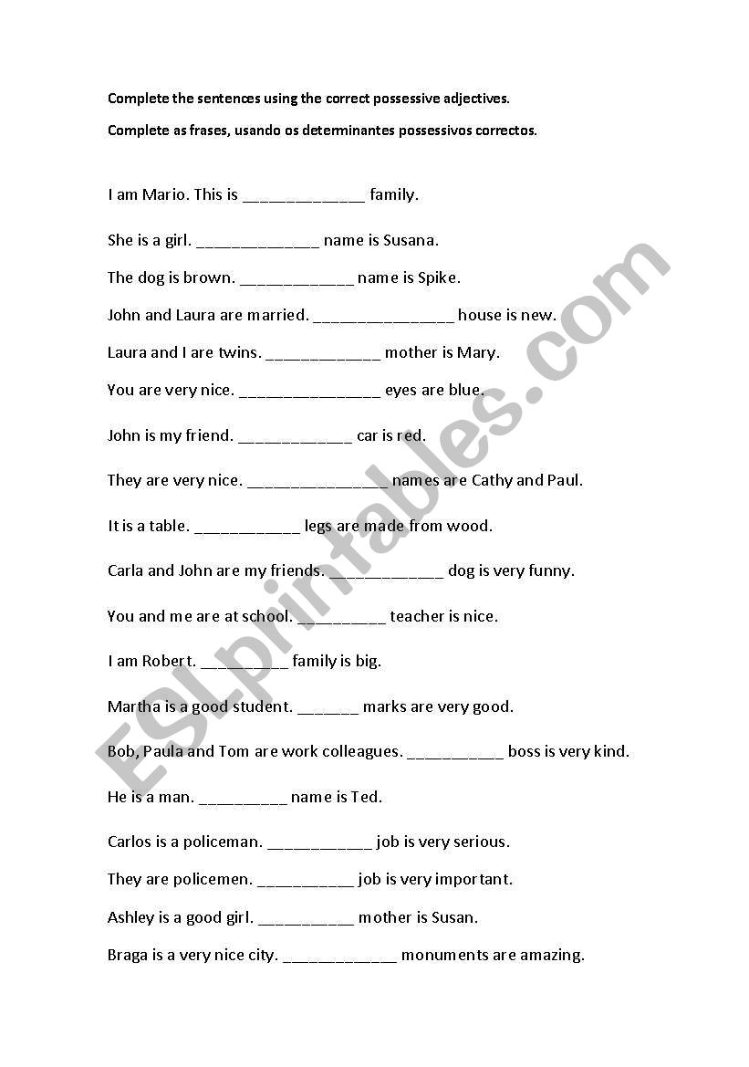 possessive adjectives worksheet