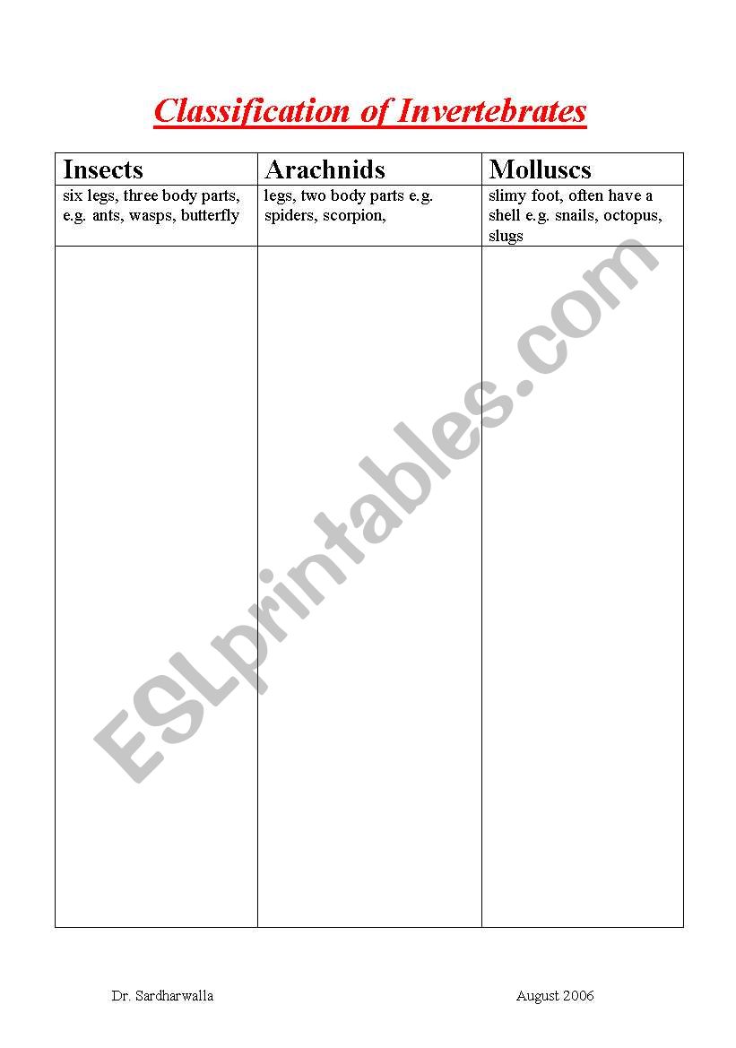 classification of invertebretes