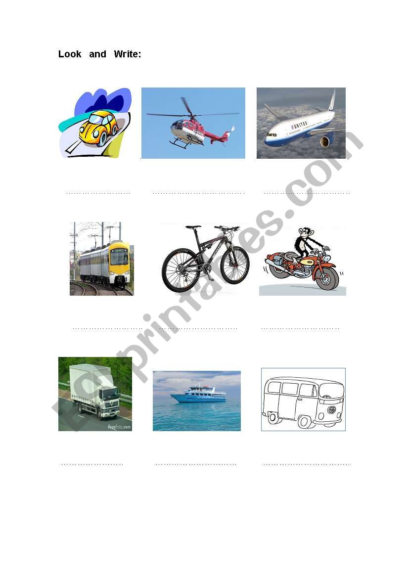 TRANSPORTATION worksheet