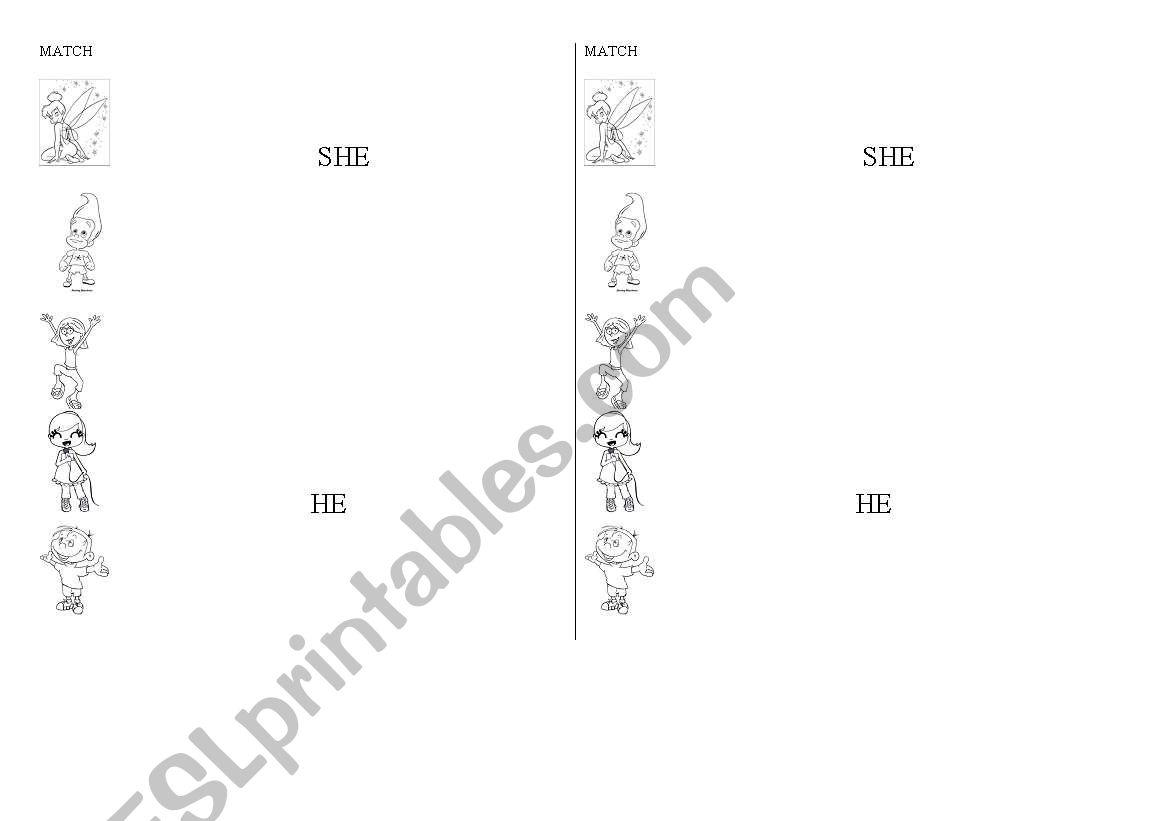 MATCH (HE /SHE) worksheet