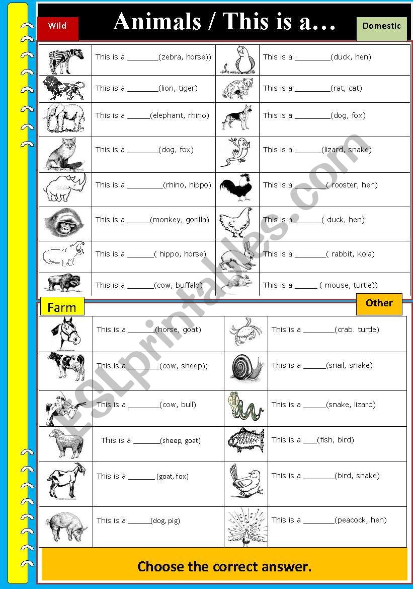 Animals worksheet