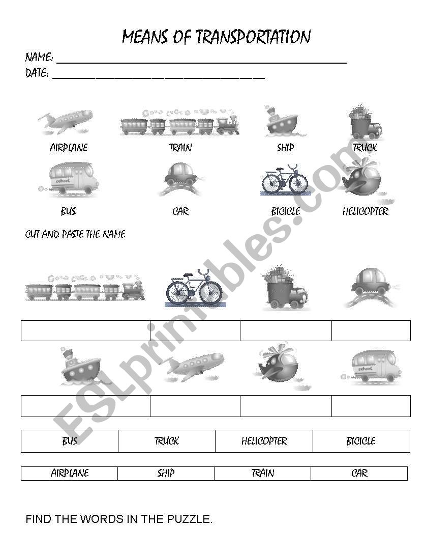 MEANS OF TRANSPORTATION worksheet