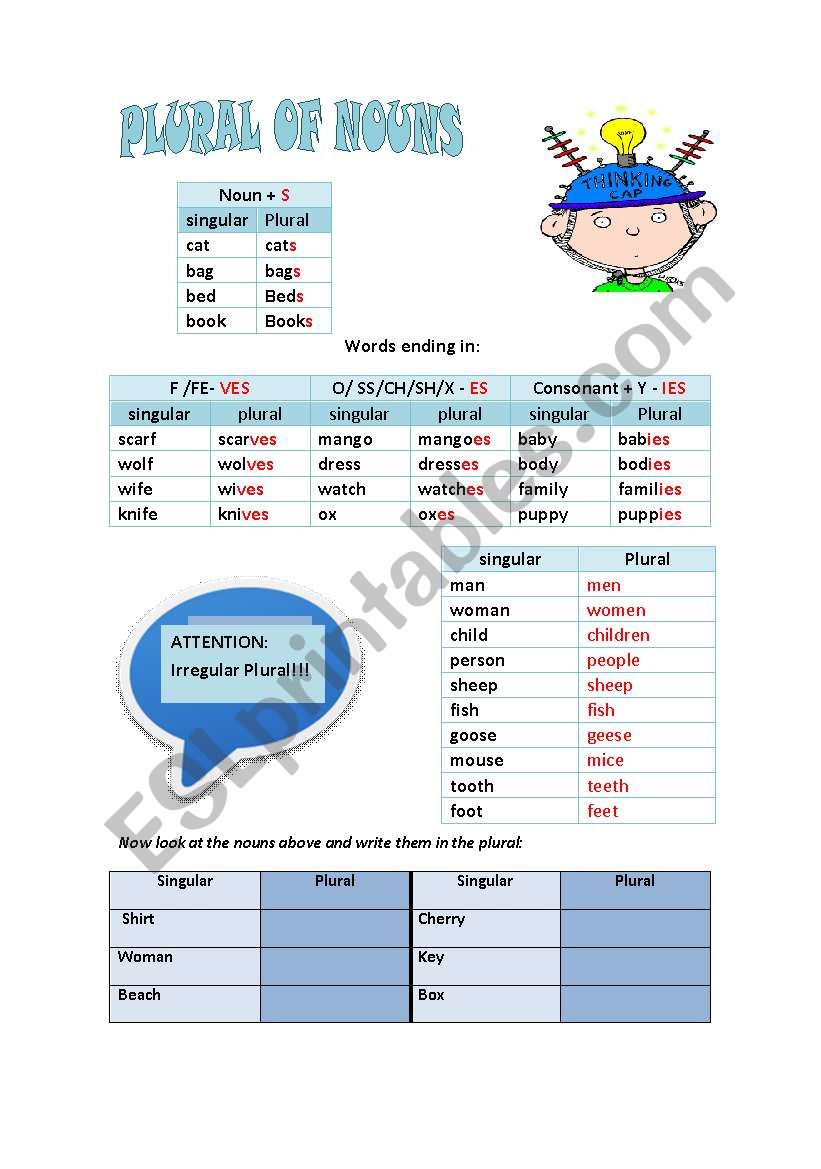 Plural of nouns worksheet