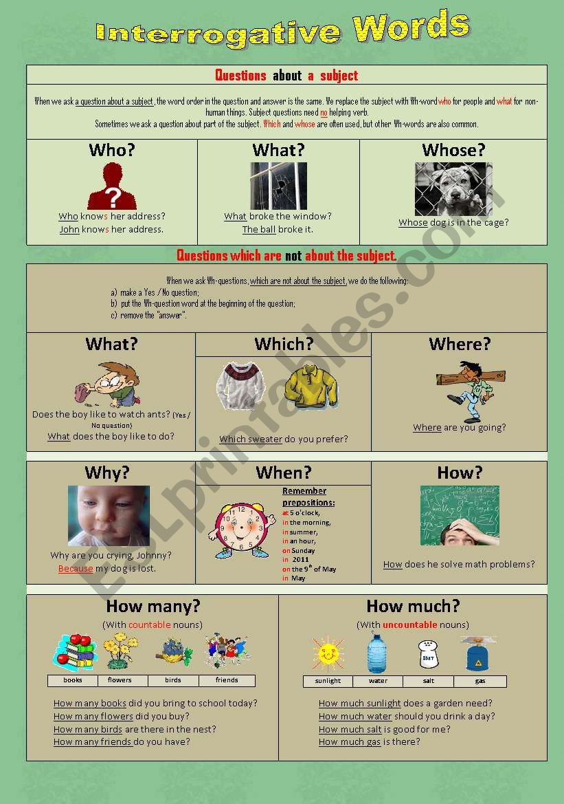 Interrogative Words worksheet