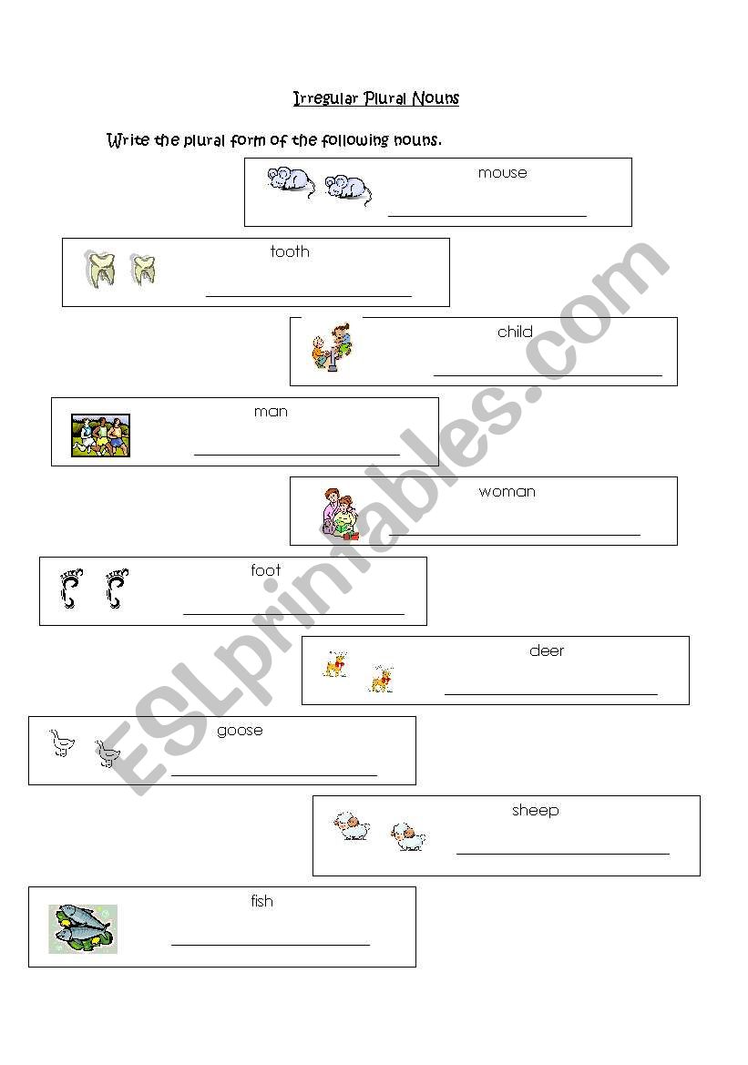 Irregular Plural Nouns worksheet