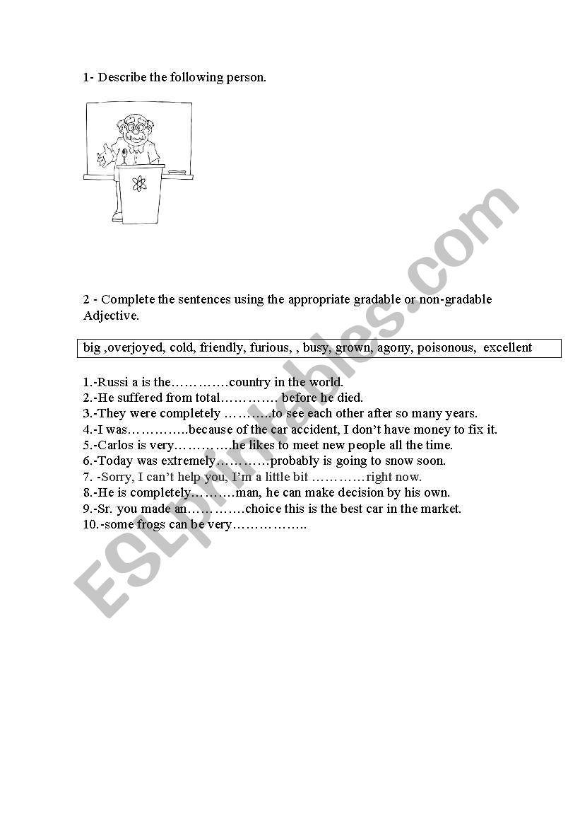 describing and grade  worksheet