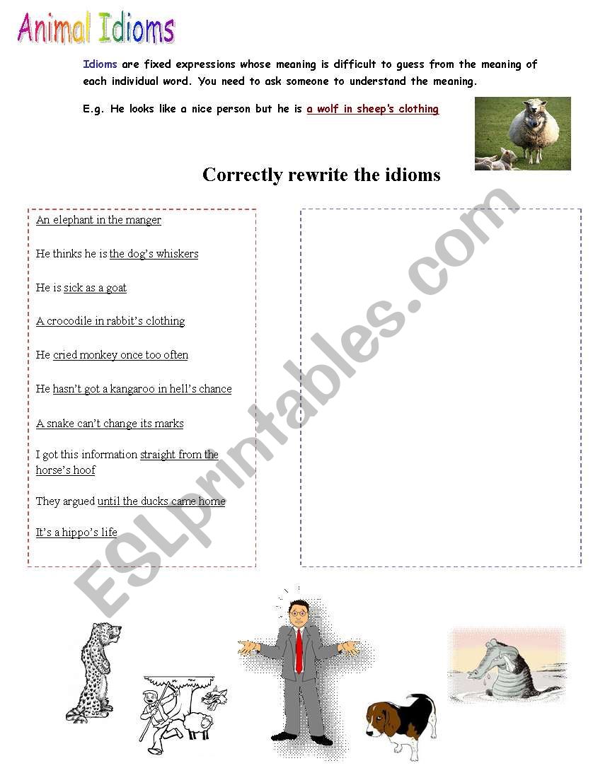 Animal Idioms worksheet