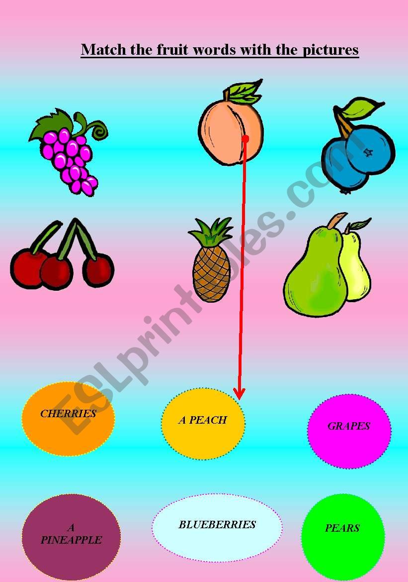 Fruits worksheet