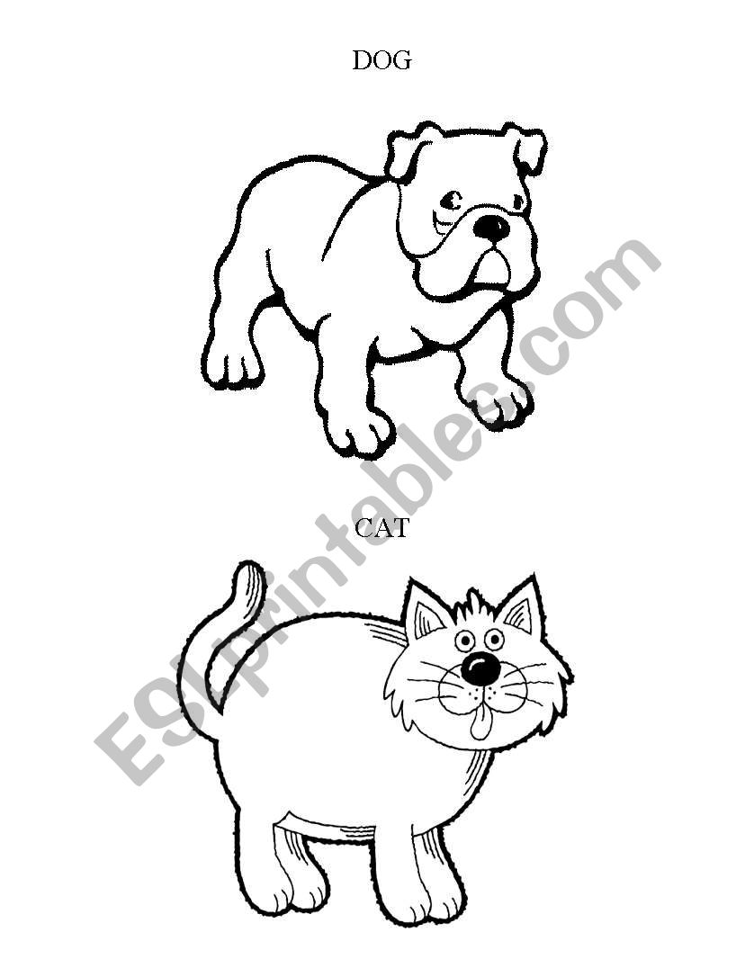 Animals worksheet