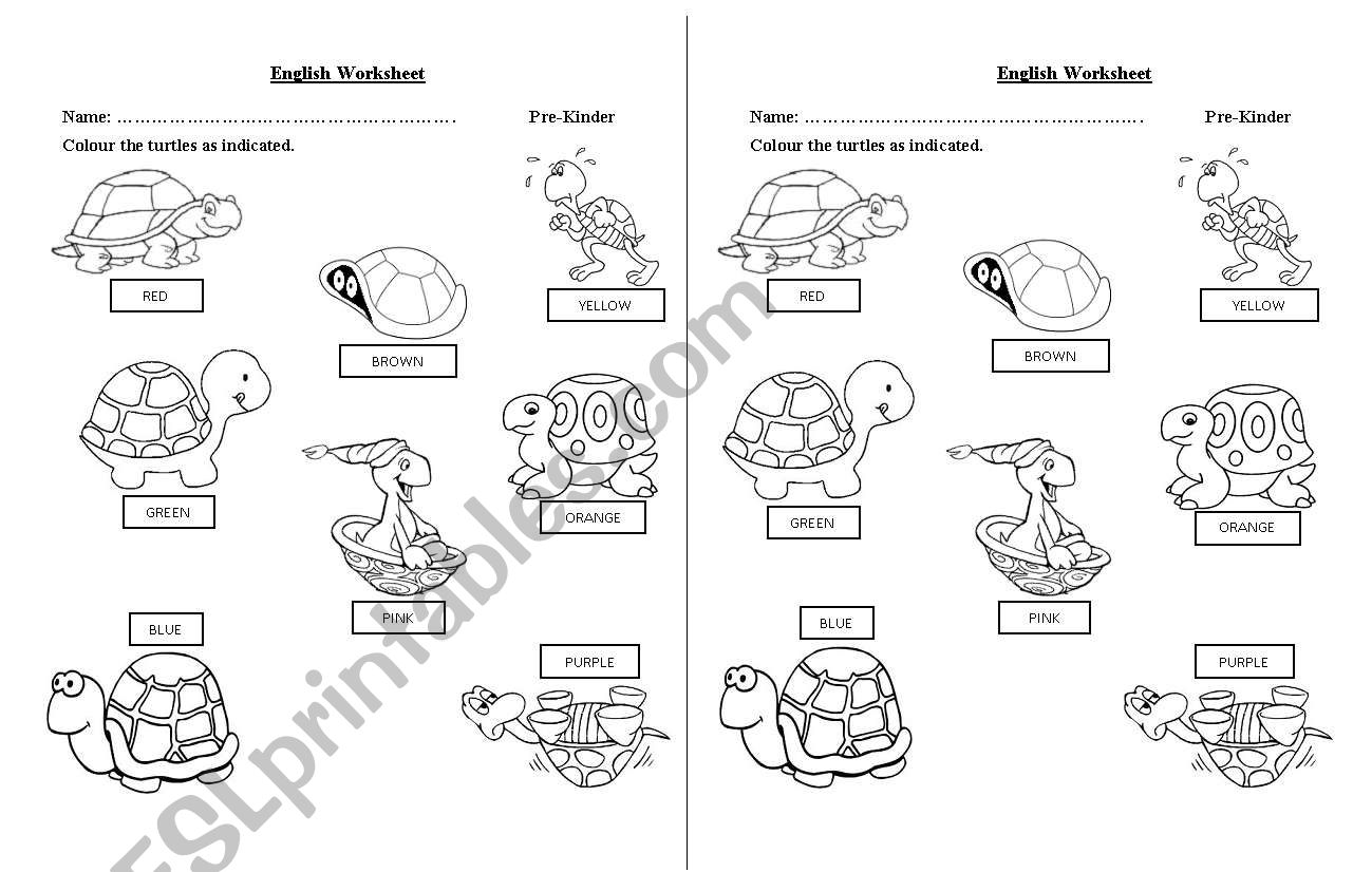 Very colorful Turtles...!!! worksheet