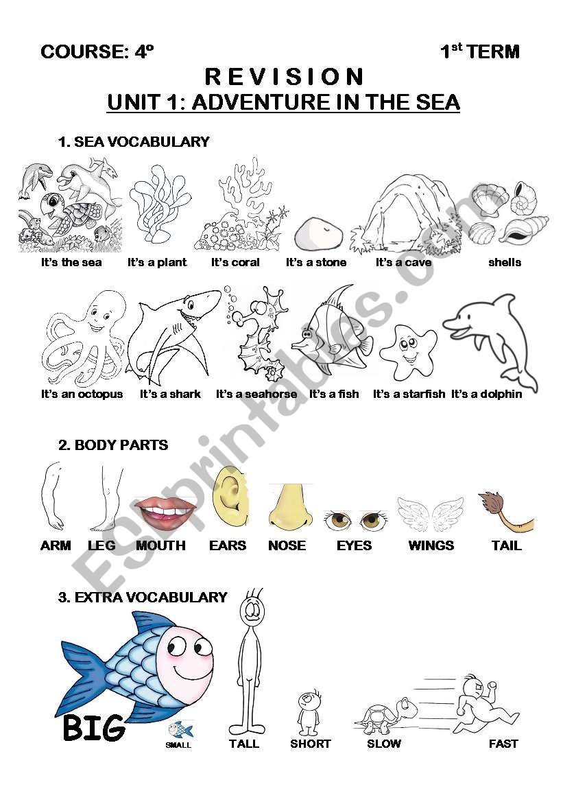 SEA ANIMALS (1/3) worksheet