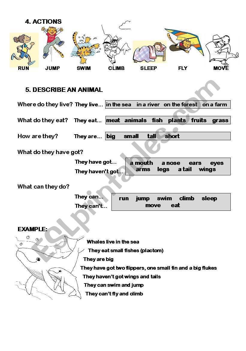 SEA ANIMALS (3/3) worksheet