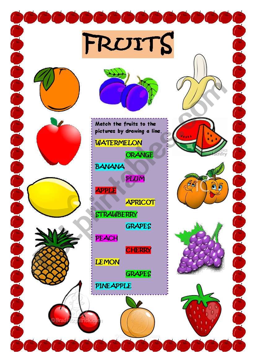 FRUITS worksheet