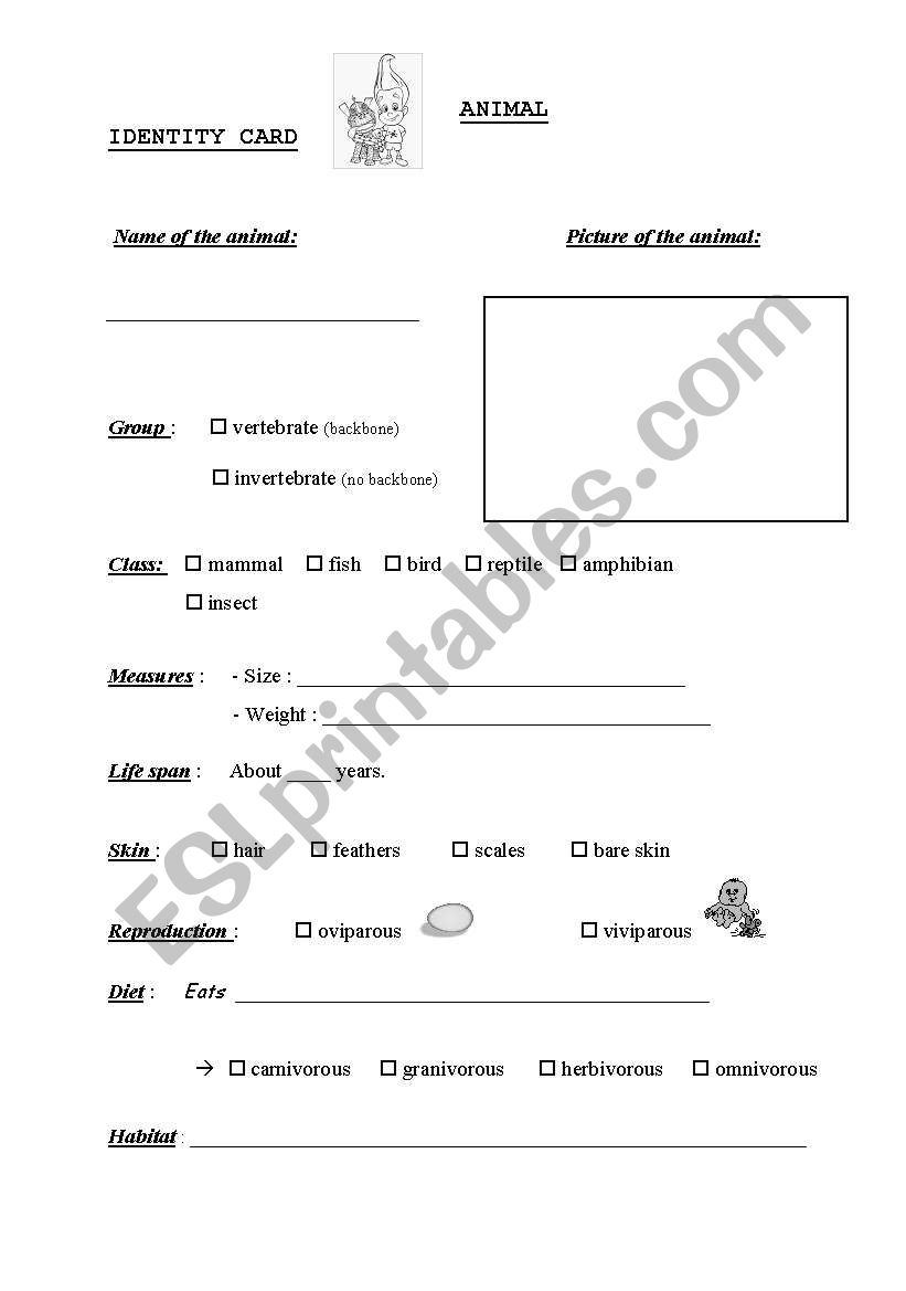 Animal ID card worksheet