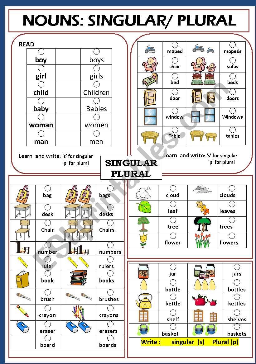 Chart Of Singular And Plural Nouns