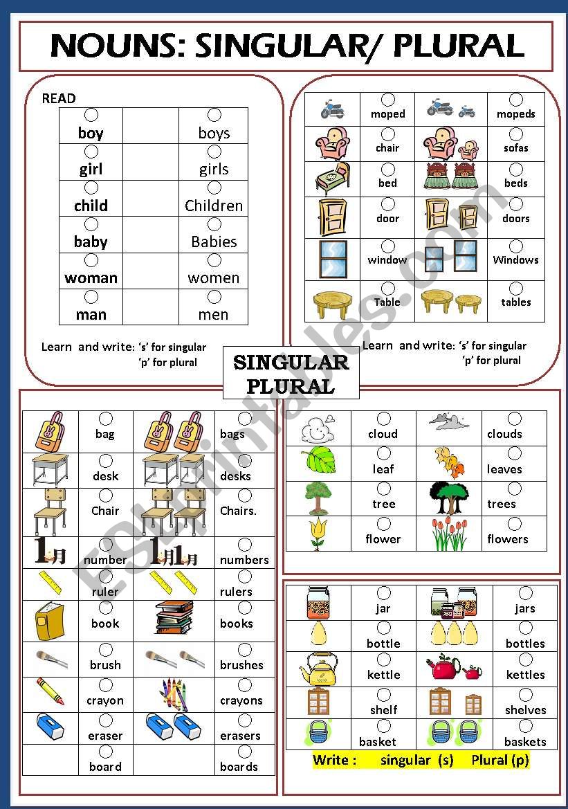 Singular And Plural Nouns Chart