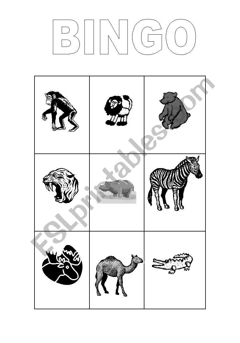 bingo of animals at the zoo worksheet