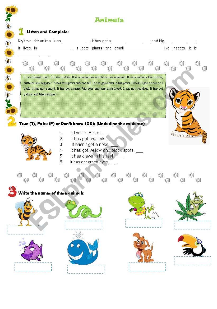 Animals test worksheet