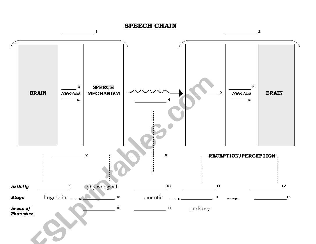 Phonetics and Phonology - Basic Concepts - Speech Chain