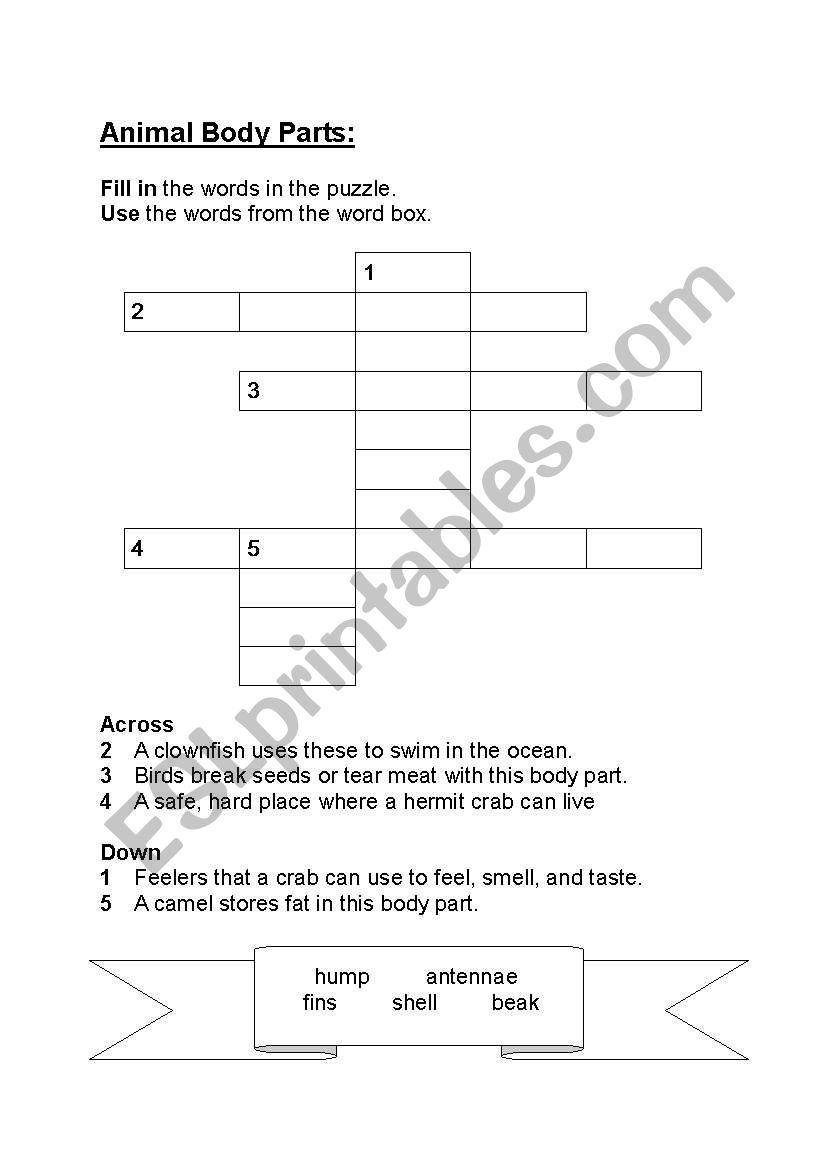 Animal Body Parts worksheet