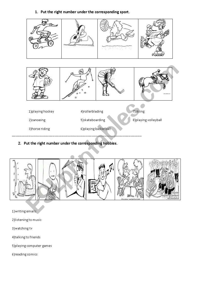 some sports and hobbies worksheet