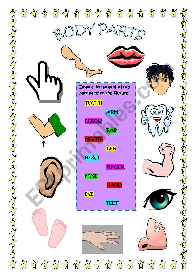 BODY PARTS worksheet