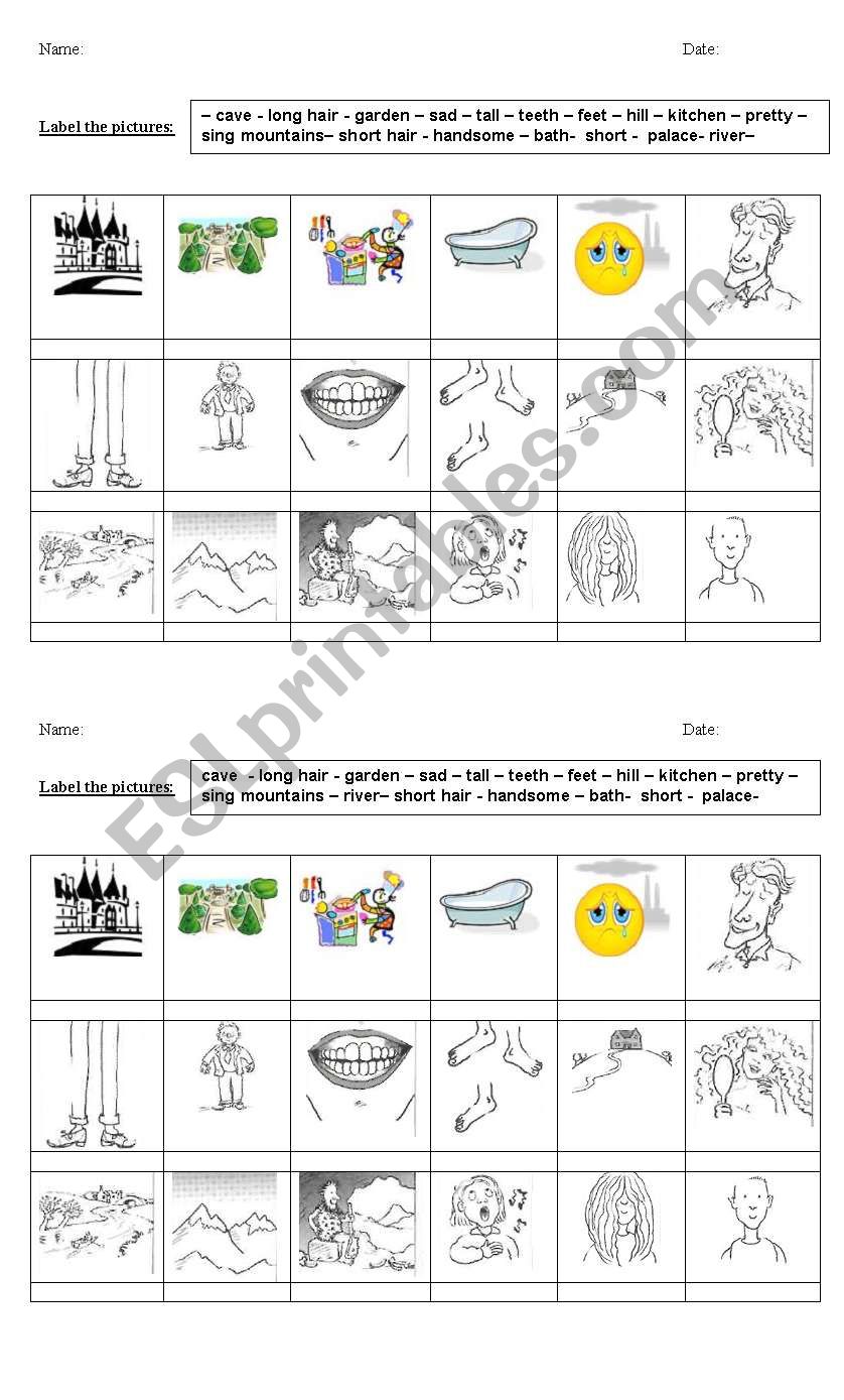 Vocabulary: Review worksheet