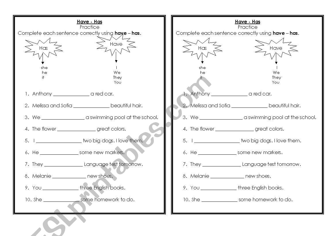 Have / Has worksheet