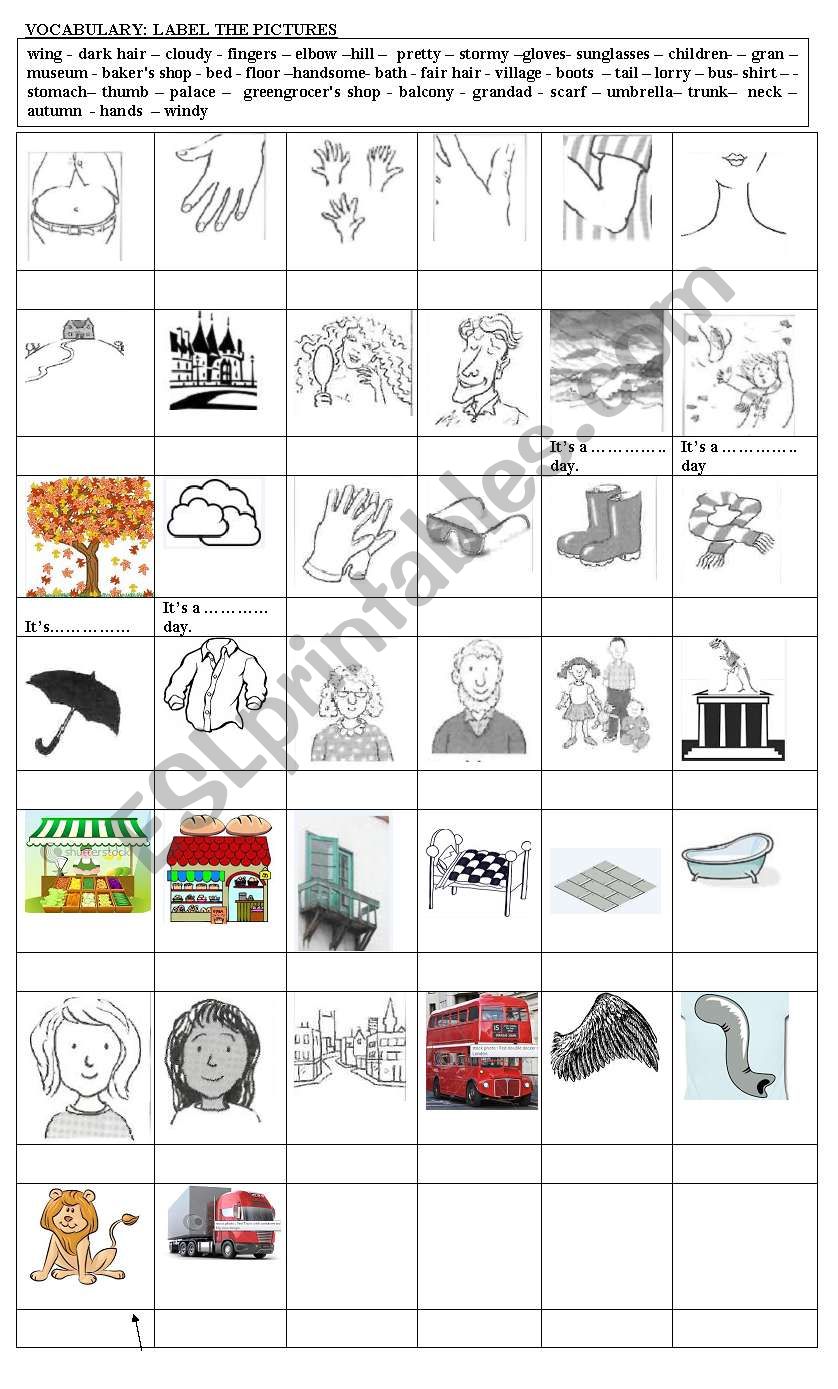 Vocabulary: Review worksheet