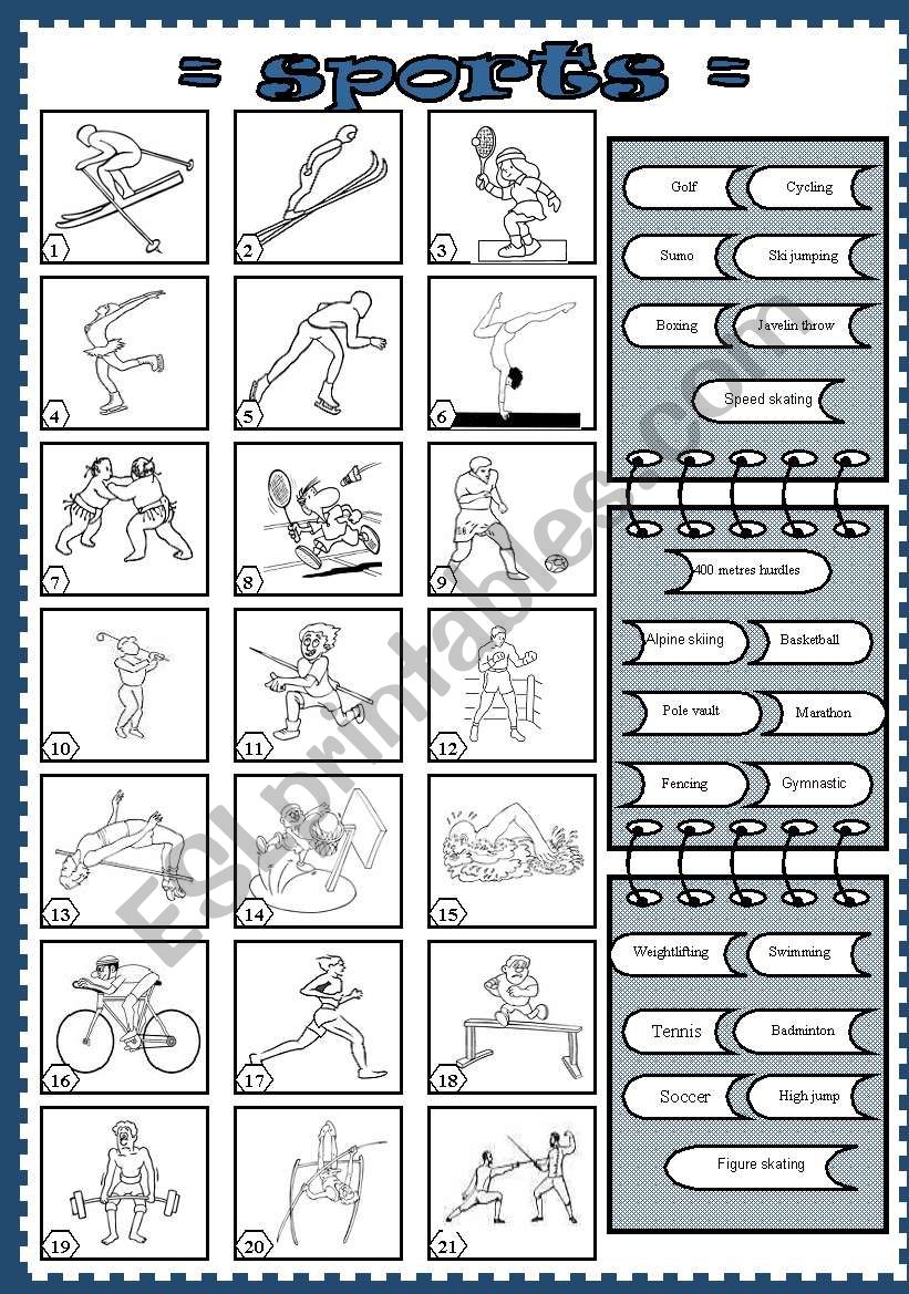 sports (5) worksheet