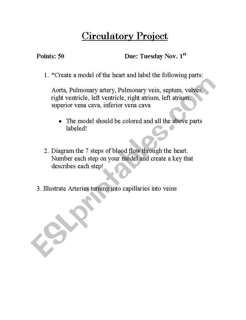 Circulatory student project worksheet