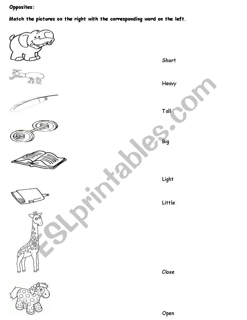 opposites worksheet