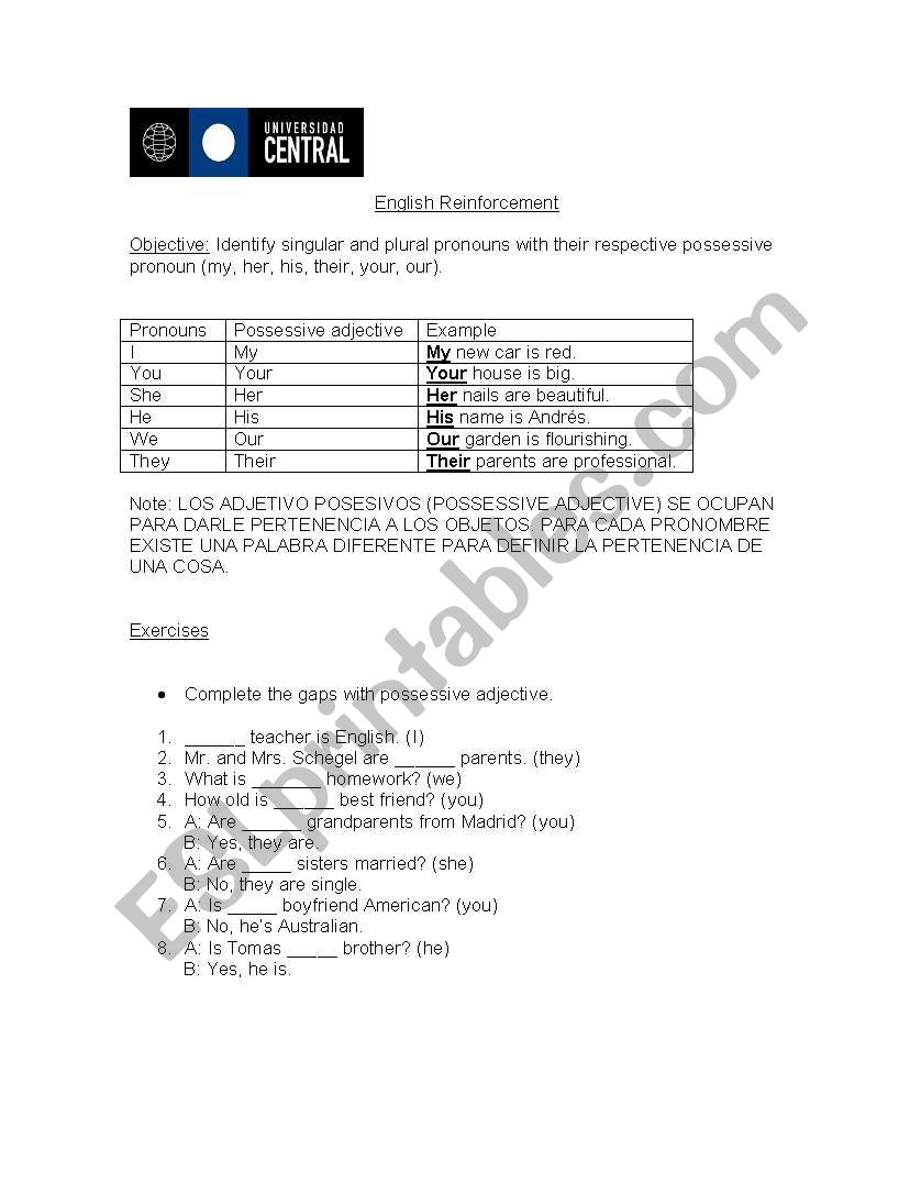 Possesive adjective worksheet