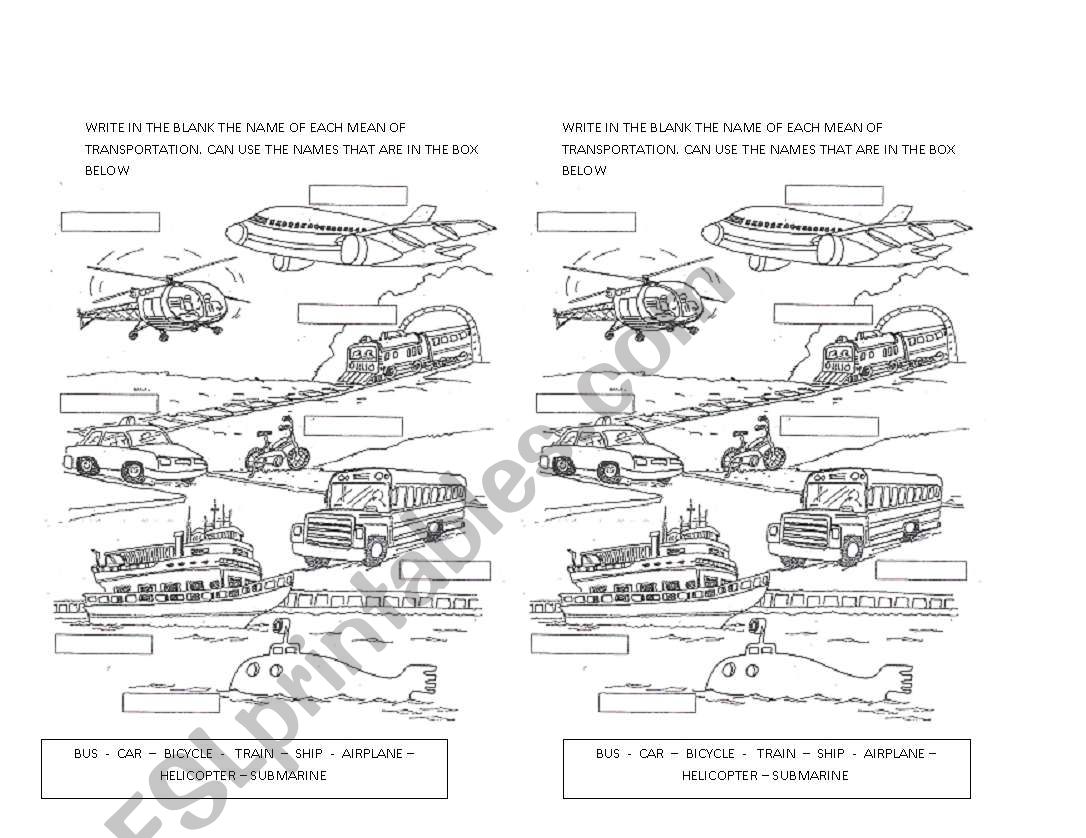 MEANS OF TRANSPORTATION worksheet