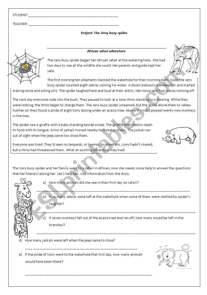 the very busy spider´s safari worksheet