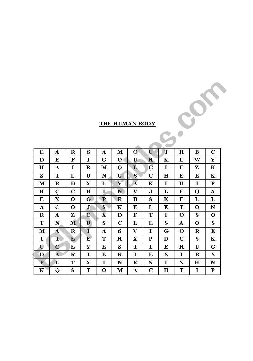 body human worksheet