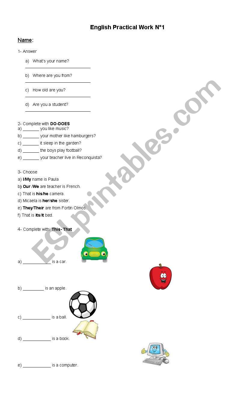 Practical work worksheet