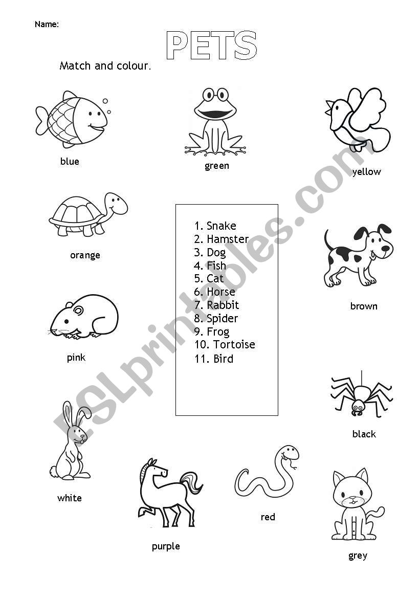 Pets worksheet