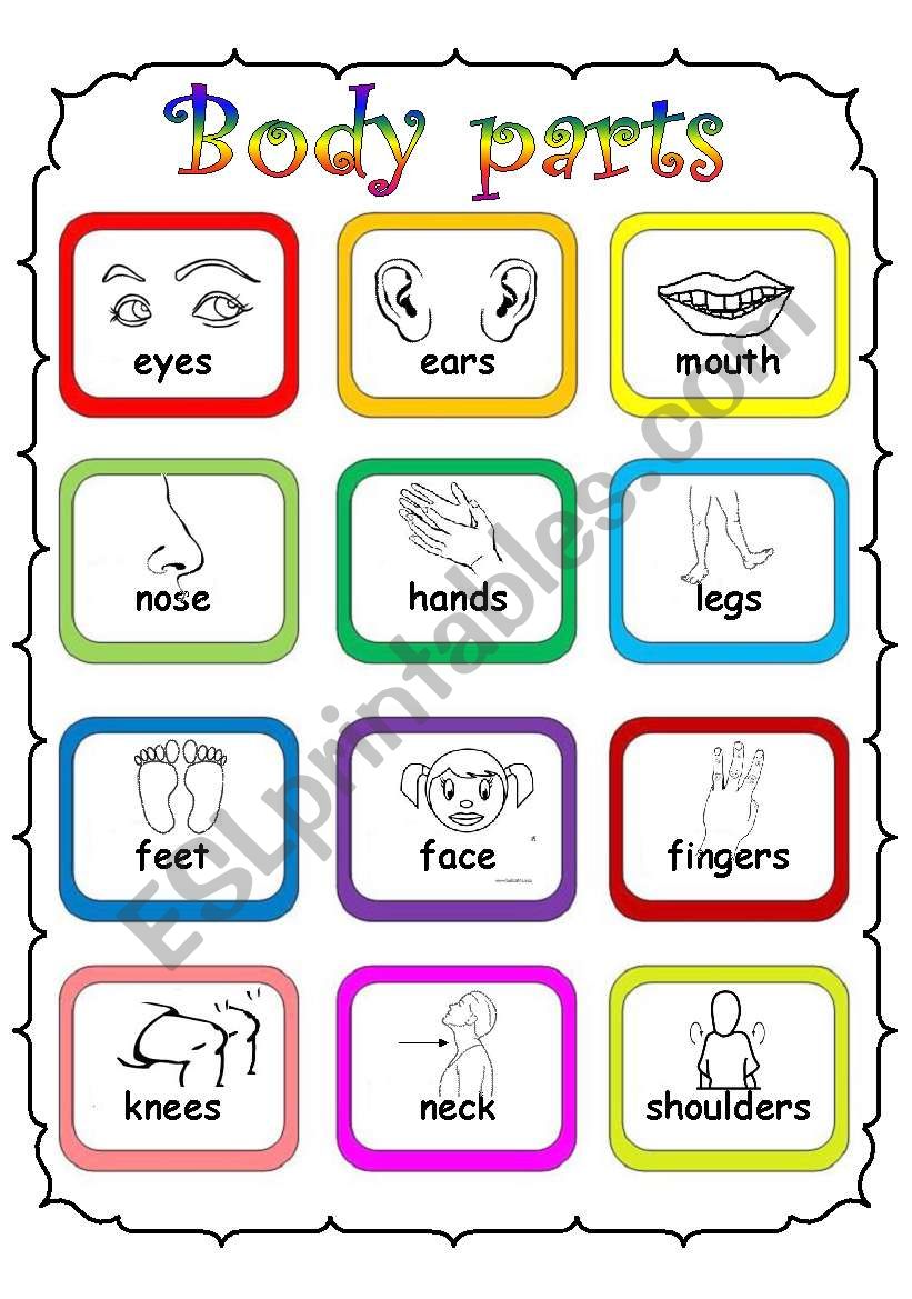 body-parts-esl-worksheet-by-fleur