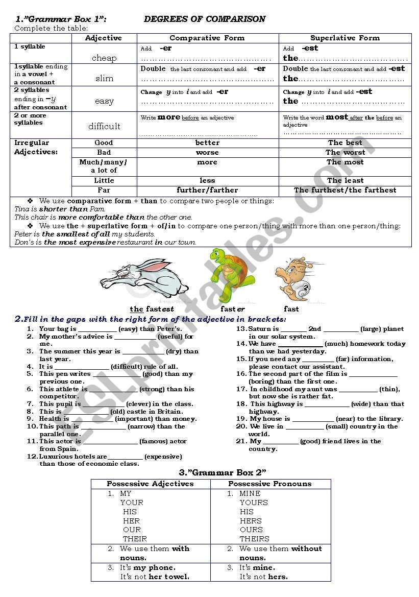 degrees of comparison and posessive pronouns